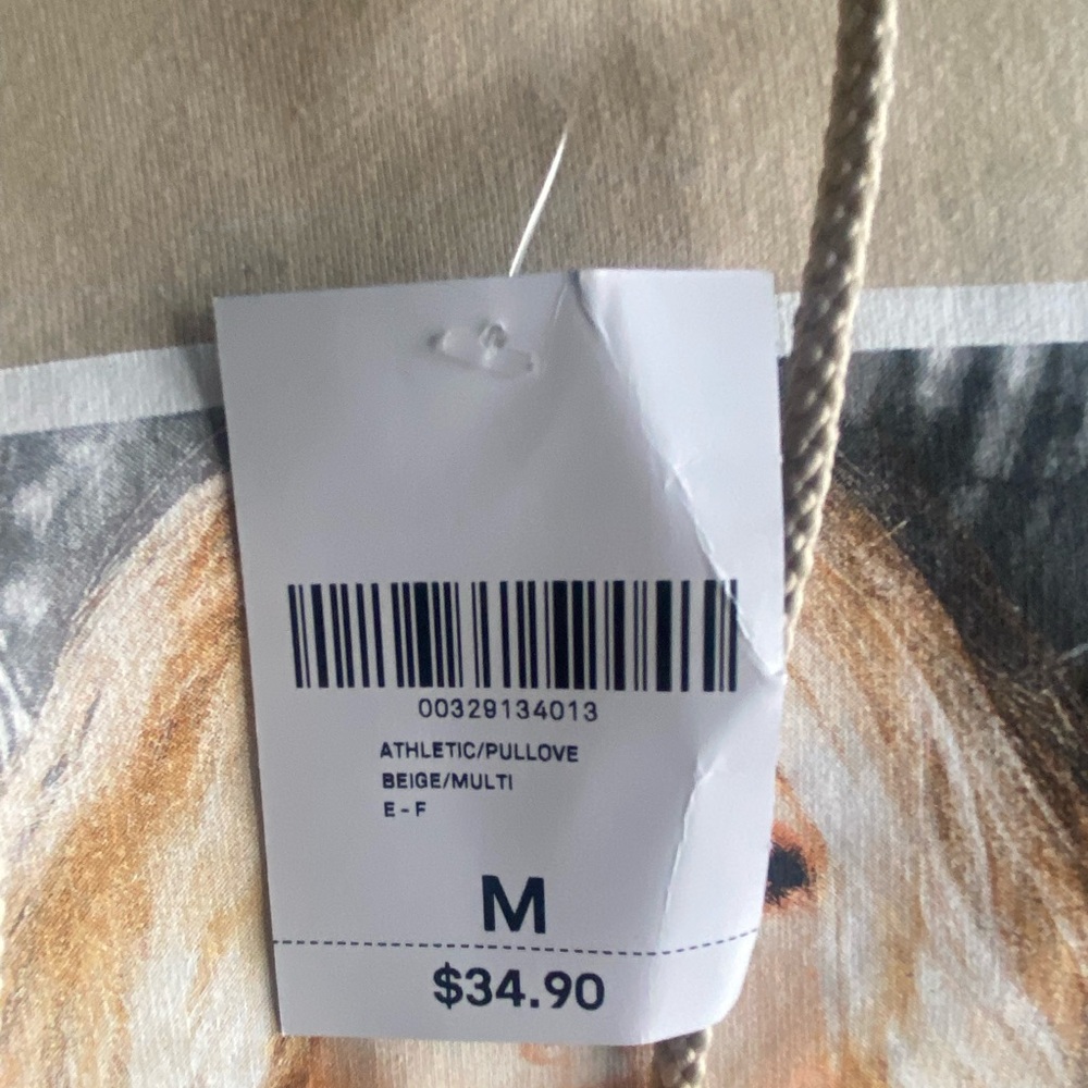 NWT Tan Forever 21 Britney Spears Hoodie! Graphic Crop Style Sweatshirt - Picture 3 of 7
